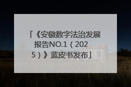 《安徽数字法治发展报告NO.1（2025）》蓝皮书发布