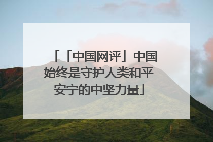 「中国网评」中国始终是守护人类和平安宁的中坚力量