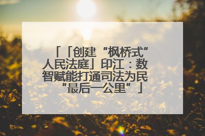 「创建“枫桥式”人民法庭」印江：数智赋能打通司法为民“最后一公里”
