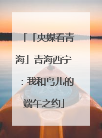 「央媒看青海」青海西宁：我和鸟儿的端午之约
