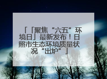 「聚焦“六五”环境日」最新发布！日照市生态环境质量状况“出炉”