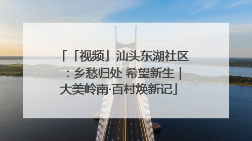 「视频」汕头东湖社区：乡愁归处 希望新生｜大美岭南·百村焕新记