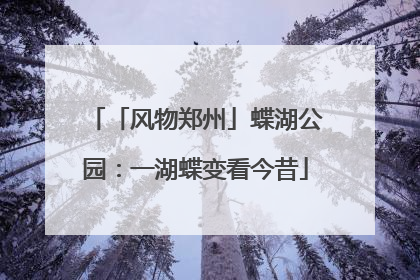 「风物郑州」蝶湖公园：一湖蝶变看今昔