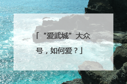 “爱武城”大众号，如何爱？