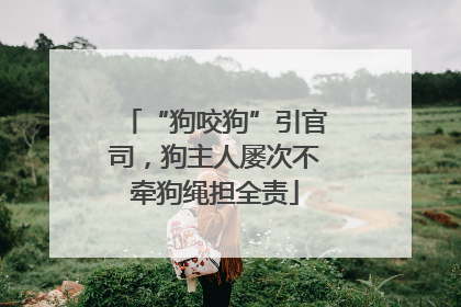 “狗咬狗”引官司，狗主人屡次不牵狗绳担全责