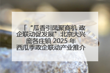 “瓜香引凤聚商机 政企联动促发展”北京大兴庞各庄镇 2025 年西瓜季政企联动产业推介活动圆满举行