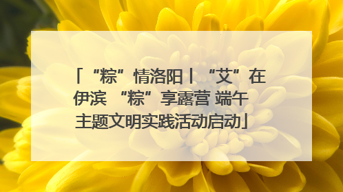 “粽”情洛阳丨“艾”在伊滨 “粽”享露营 端午主题文明实践活动启动