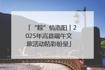“粽”情洛阳丨2025年嵩县端午文旅活动精彩纷呈