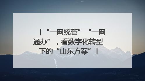 “一网统管”“一网通办”，看数字化转型下的“山东方案”