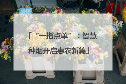 “一指点单”：智慧种烟开启惠农新篇