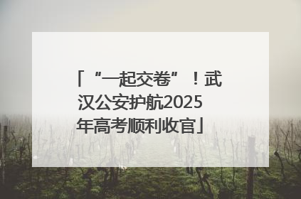 “一起交卷”！武汉公安护航2025年高考顺利收官