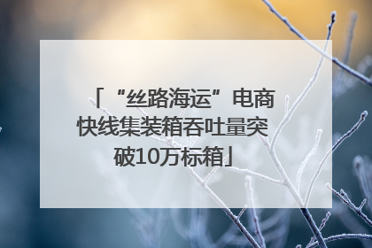 “丝路海运”电商快线集装箱吞吐量突破10万标箱