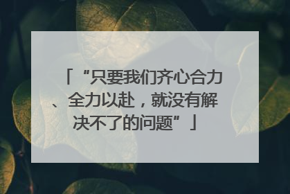 “只要我们齐心合力、全力以赴，就没有解决不了的问题”