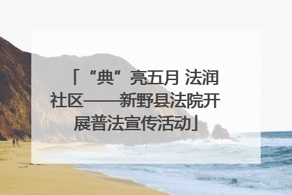 “典”亮五月 法润社区——新野县法院开展普法宣传活动