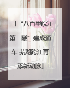 “八百里皖江第一隧”建成通车 芜湖跨江再添新动脉