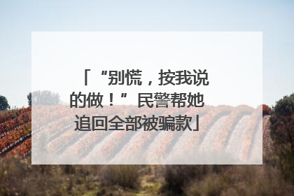“别慌，按我说的做！”民警帮她追回全部被骗款