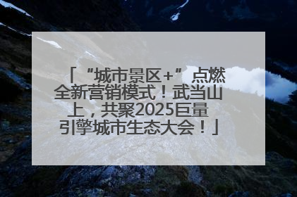 “城市景区+”点燃全新营销模式！武当山上，共聚2025巨量引擎城市生态大会！