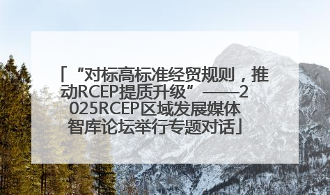 “对标高标准经贸规则，推动RCEP提质升级”——2025RCEP区域发展媒体智库论坛举行专题对话