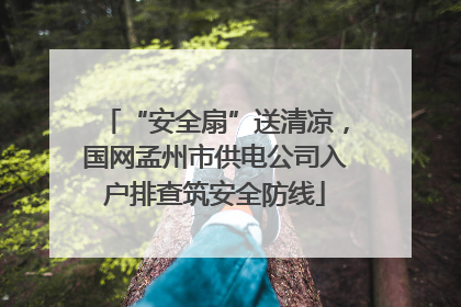 “安全扇”送清凉，国网孟州市供电公司入户排查筑安全防线