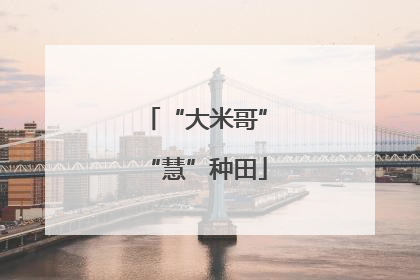 “大米哥”“慧”种田