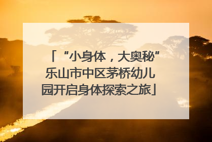 “小身体，大奥秘” 乐山市中区茅桥幼儿园开启身体探索之旅