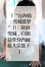 “山海情・雪域援梦”⑪：泉润雪域，白朗县变身西藏最大菜篮子