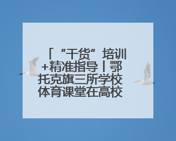 “干货”培训+精准指导丨鄂托克旗三所学校体育课堂在高校专家助力下“提质增效”