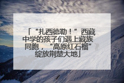 “扎西德勒！”西藏中学的孩子们遇上藏族同胞，“高原红石榴”绽放荆楚大地
