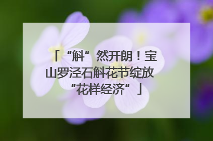 “斛”然开朗！宝山罗泾石斛花节绽放“花样经济”
