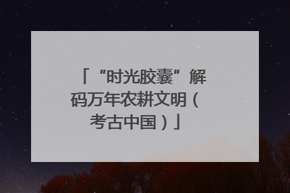 “时光胶囊”解码万年农耕文明（考古中国）