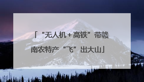 “无人机＋高铁”带赣南农特产“飞”出大山