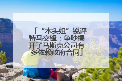 “木头姐”锐评特马交锋：争吵揭开了马斯克公司有多依赖政府合同