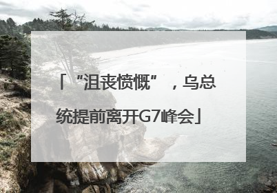 “沮丧愤慨”，乌总统提前离开G7峰会