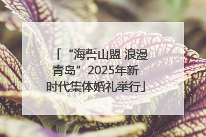“海誓山盟 浪漫青岛”2025年新时代集体婚礼举行