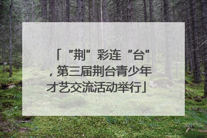 “荆”彩连“台”，第三届荆台青少年才艺交流活动举行