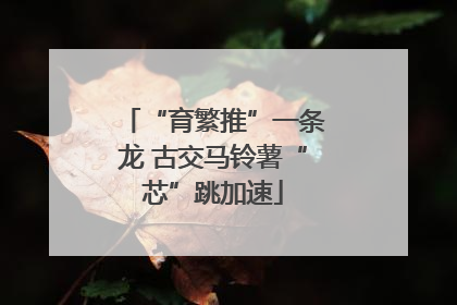 “育繁推”一条龙 古交马铃薯“芯”跳加速