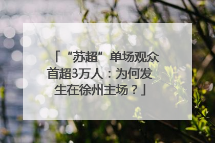 “苏超”单场观众首超3万人：为何发生在徐州主场？