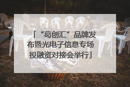 “葛创汇”品牌发布暨光电子信息专场投融资对接会举行