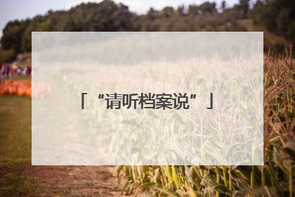 “请听档案说”