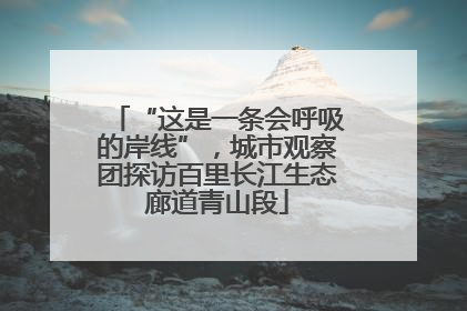 “这是一条会呼吸的岸线”，城市观察团探访百里长江生态廊道青山段