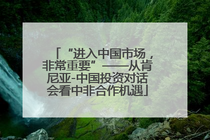 “进入中国市场，非常重要”——从肯尼亚-中国投资对话会看中非合作机遇