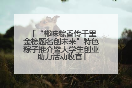 “郴味粽香传千里 金榜题名创未来”特色粽子推介暨大学生创业助力活动收官
