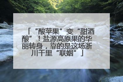 “酸苹果”变“甜酒酿”！盐源高原果的华丽转身，靠的是这场浙川千里“联姻”