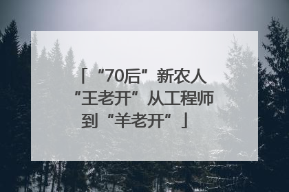 “70后”新农人“王老开”从工程师到“羊老开”