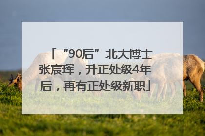“90后”北大博士张宸珲，升正处级4年后，再有正处级新职