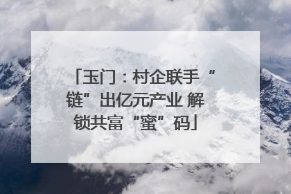 玉门：村企联手“链”出亿元产业 解锁共富“蜜”码