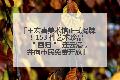 王宏喜美术馆正式揭牌！153 件艺术珍品 “ 回归 ” 连云港，并向市民免费开放