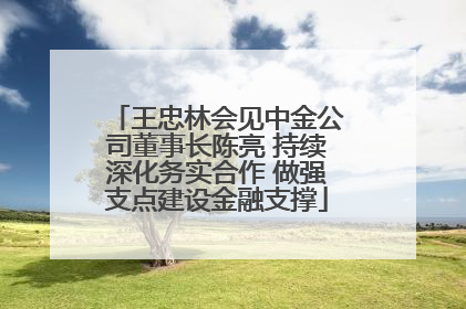 王忠林会见中金公司董事长陈亮 持续深化务实合作 做强支点建设金融支撑