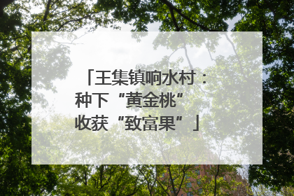 王集镇响水村：种下“黄金桃” 收获“致富果”