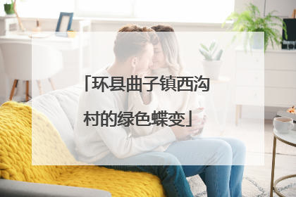 环县曲子镇西沟村的绿色蝶变